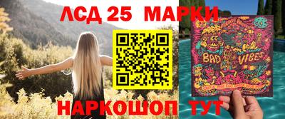 спиды Донской