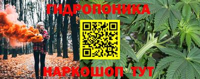 спиды Донской