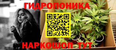 спиды Донской