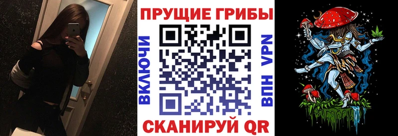 hydra   Дербент  Псилоцибиновые грибы Psilocybine cubensis 