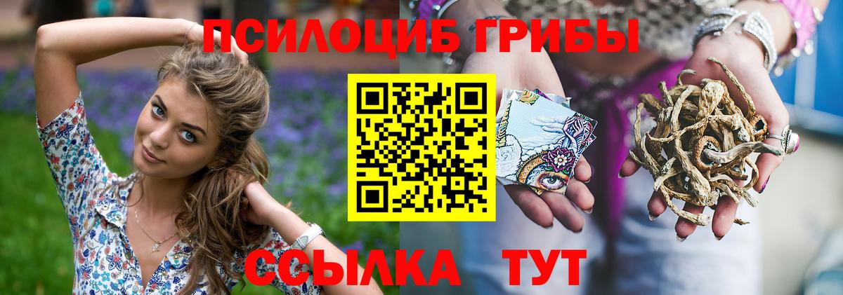 Псилоцибиновые грибы мицелий Дербент